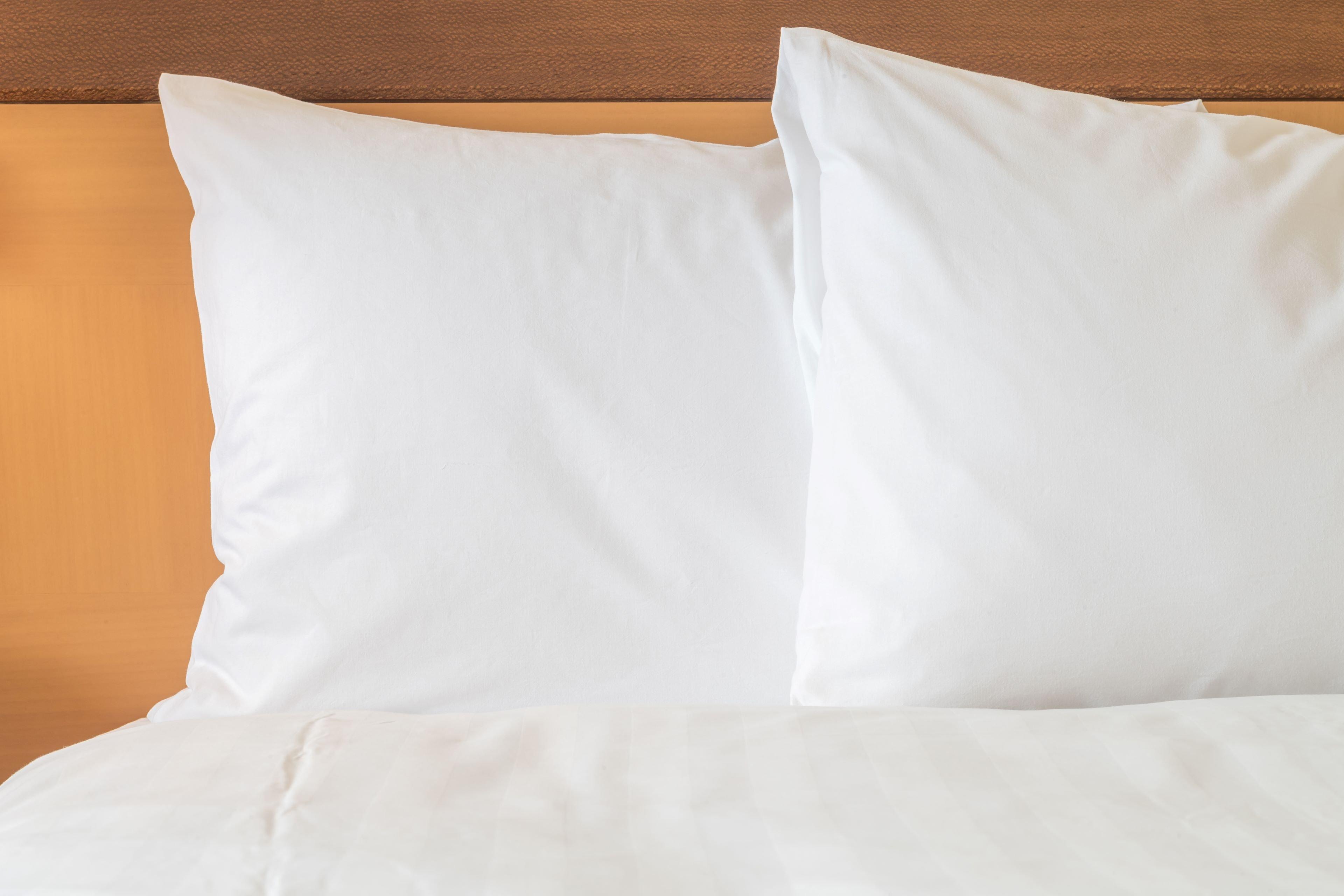 Hotel Express & - Tampa North - By Ihg Wesley Chapel