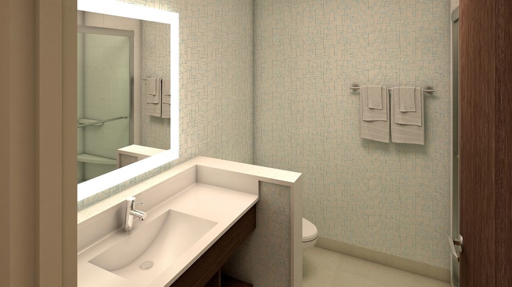 Express & - Tampa North - By Ihg Hotel Wesley Chapel